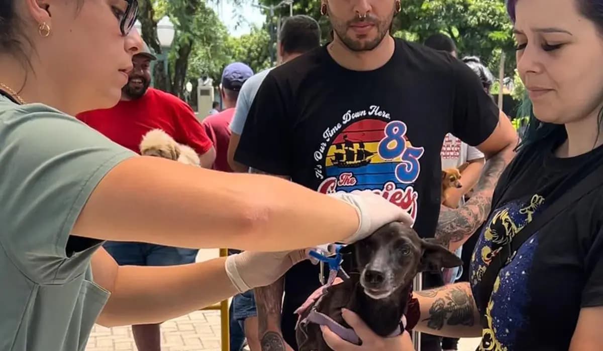 Campanha de Vacinação Imuniza Cães e Gatos em Cornélio Procópio