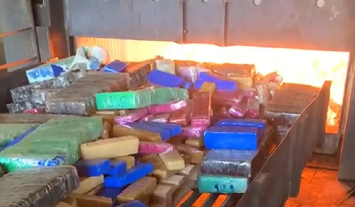 Mais de 1,8 tonelada de drogas é incinerada pela Polícia em Cornélio Procópio