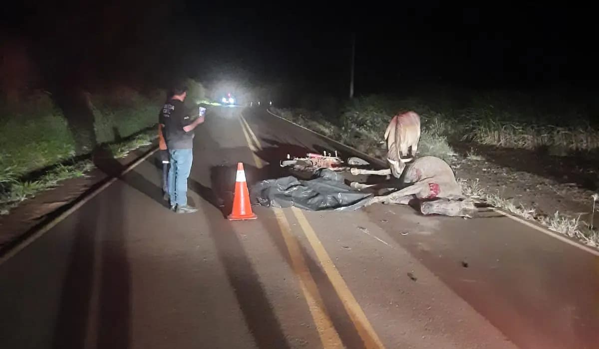Tragédia na Rodovia: Jovem morre em acidente de motocicleta após atropelamento de animal em Bandeirantes