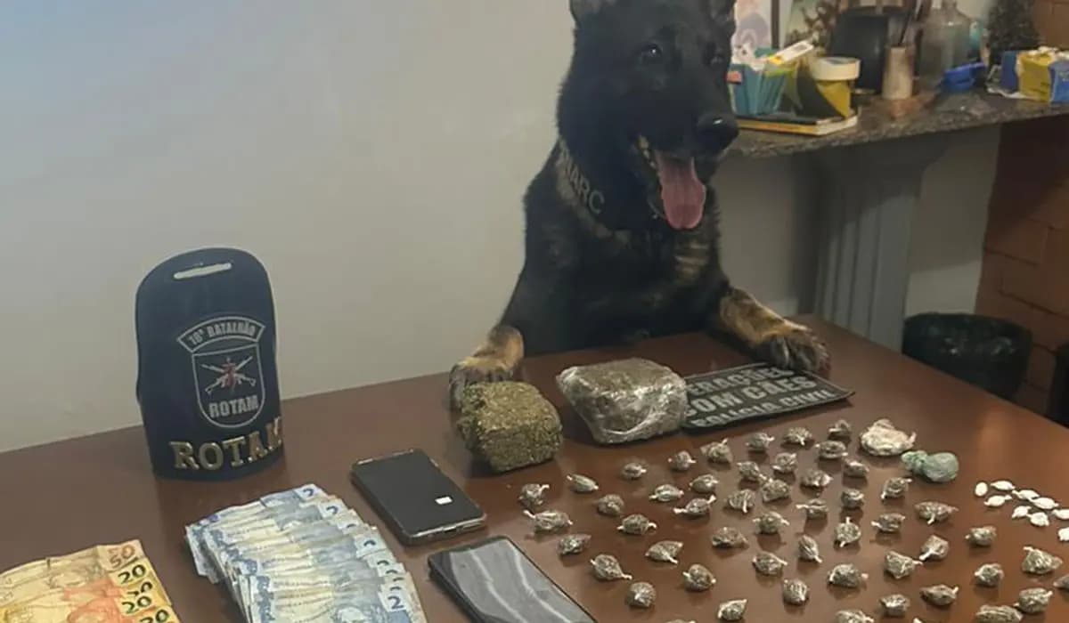 Operação Policial em Santa Mariana Resulta em Apreensão de Drogas