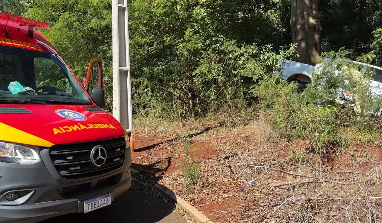 Mãe e bebê escapam ilesos após caminhonete colidir com árvore