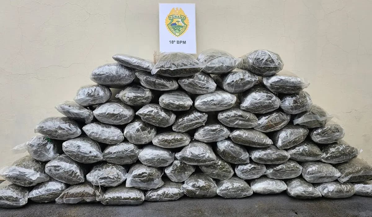 Polícia apreende mais de 60 kg de maconha em São Jerônimo da Serra