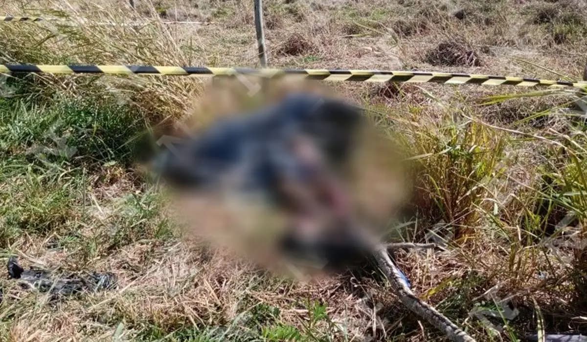 Corpo Carbonizado é Encontrado em Aldeia Barão de Antonina, São Jerônimo da Serra