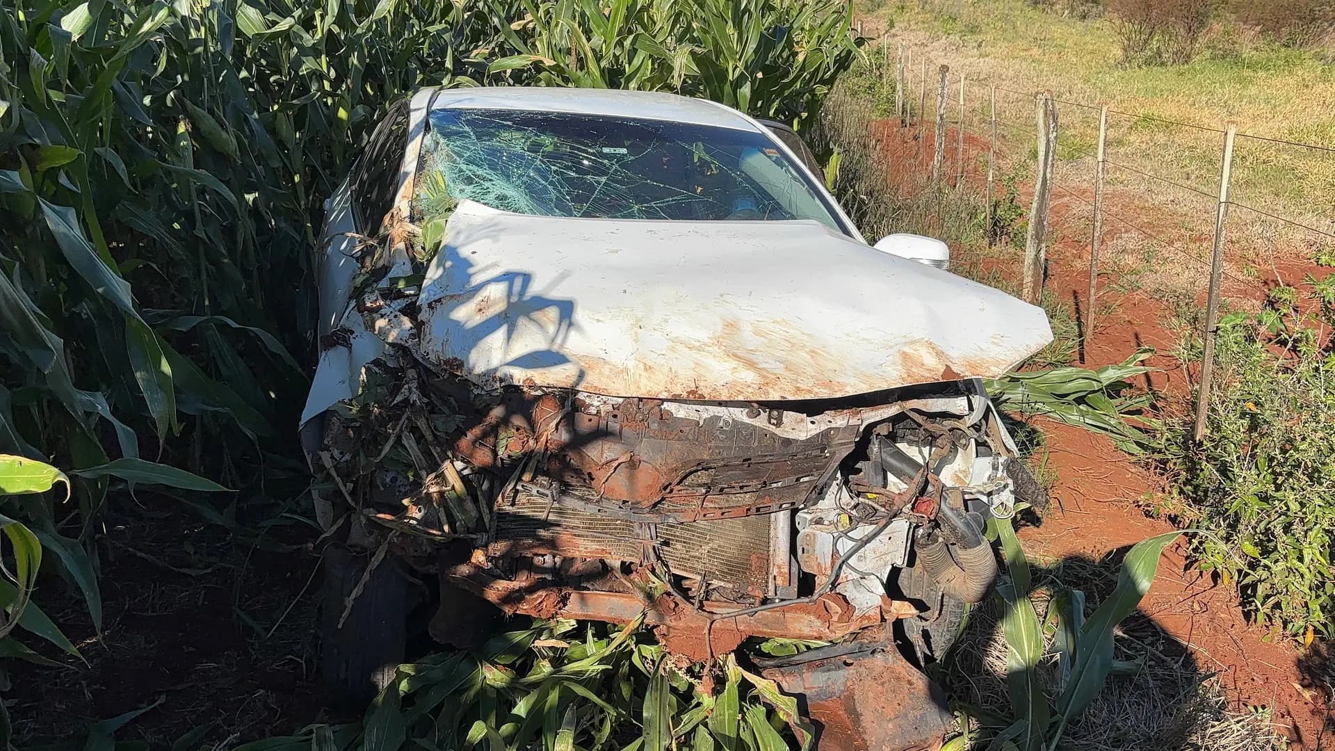 Motorista de 19 anos fica ferida após capotamento na PR-160, em Nova Fátima