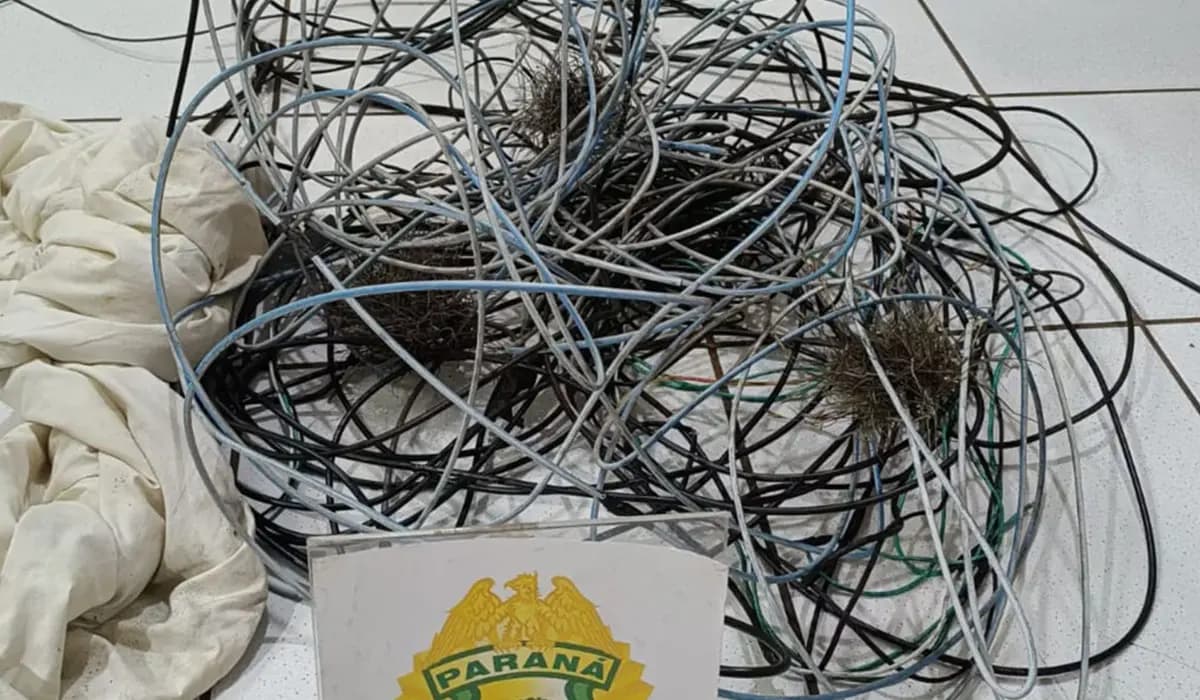 Homem é preso por Furto de Fios Elétricos em Cornélio Procópio
