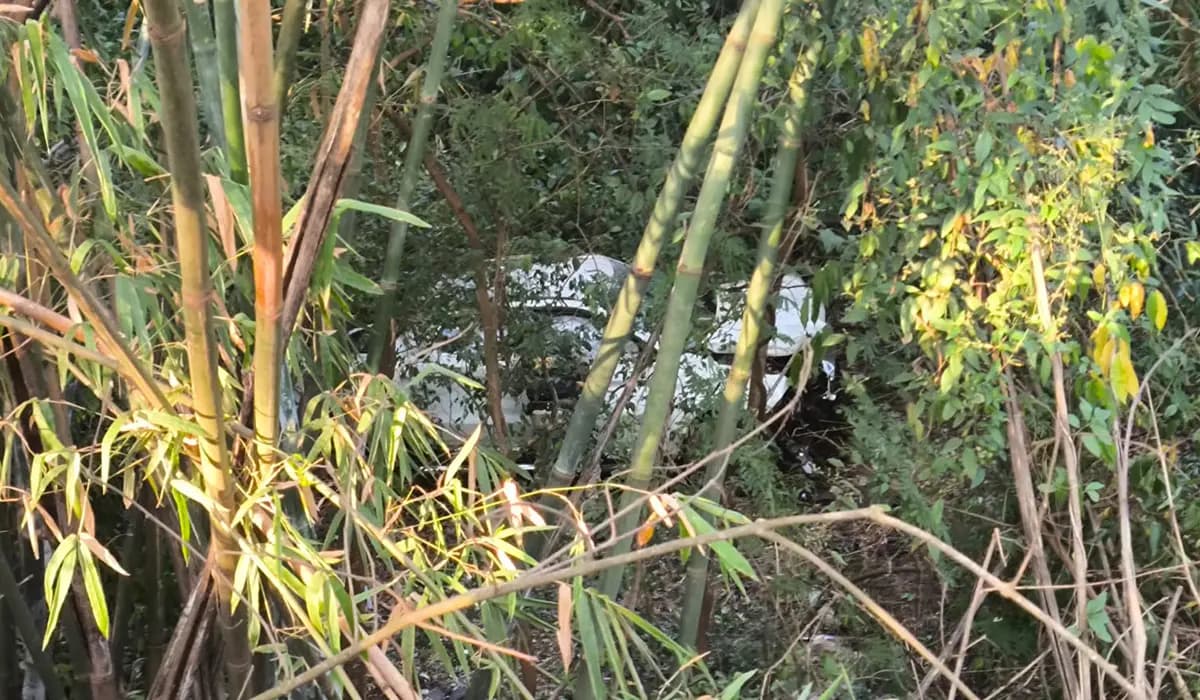 Idoso morre em capotamento na PR-442 em Uraí