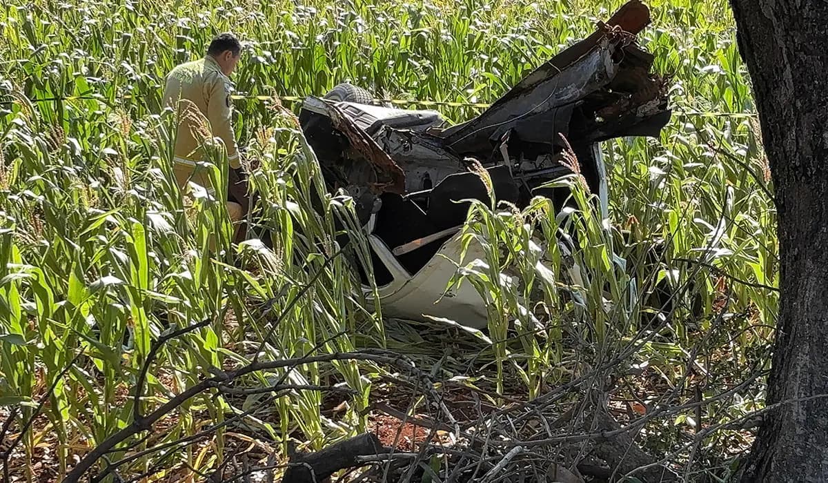 Pai e filho morrem em grave acidente na PR-160, em Leópolis