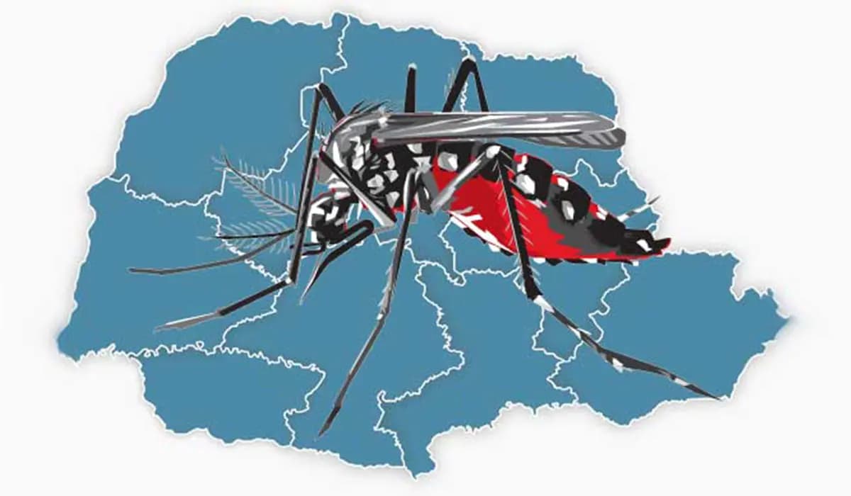 Boletim da dengue confirma 8.441 novos casos e mais sete óbitos no Paraná