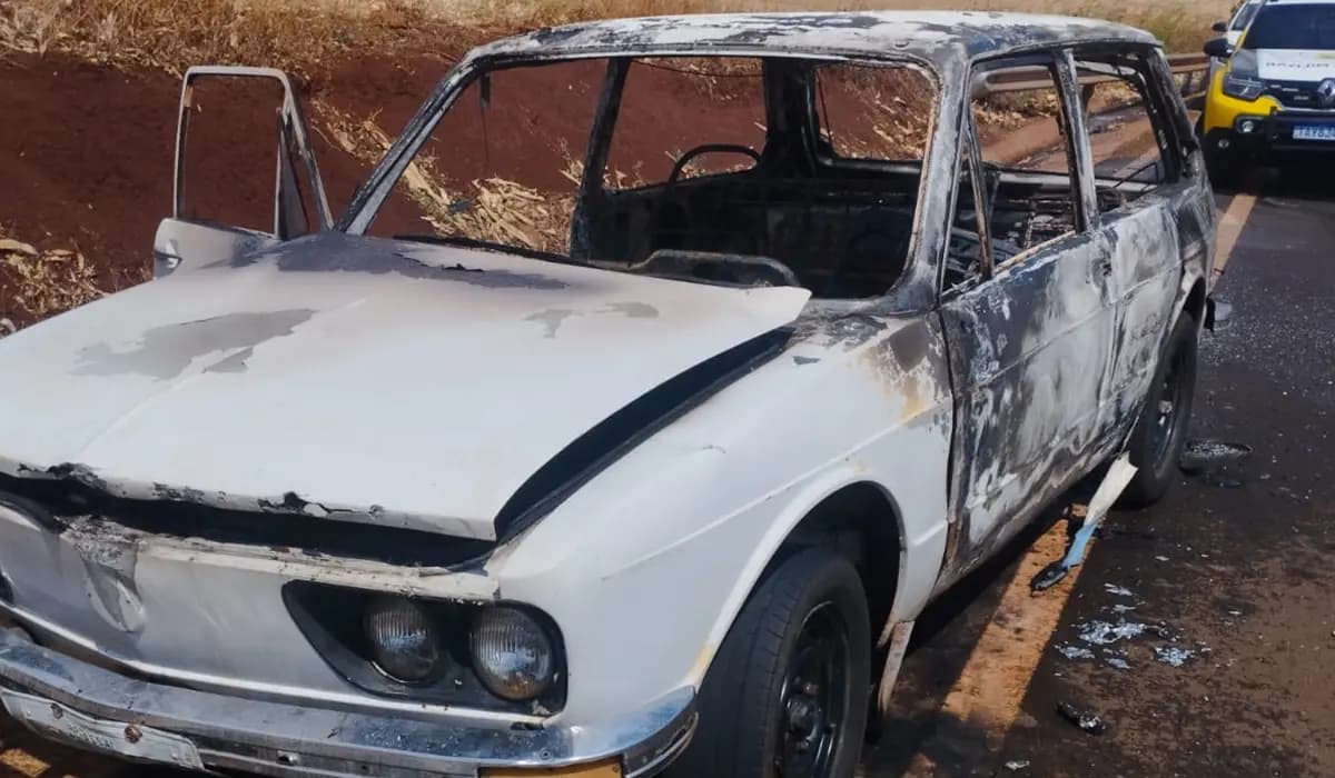 Veículo pega fogo às margens da BR-369 em Uraí