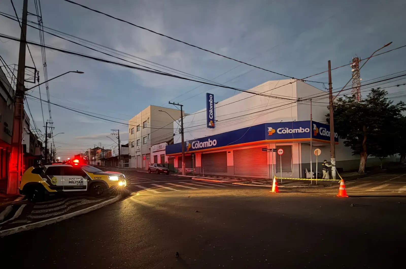 Cabo de energia se rompe após excesso de andorinhas e provoca morte de centenas de aves em Cornélio Procópio