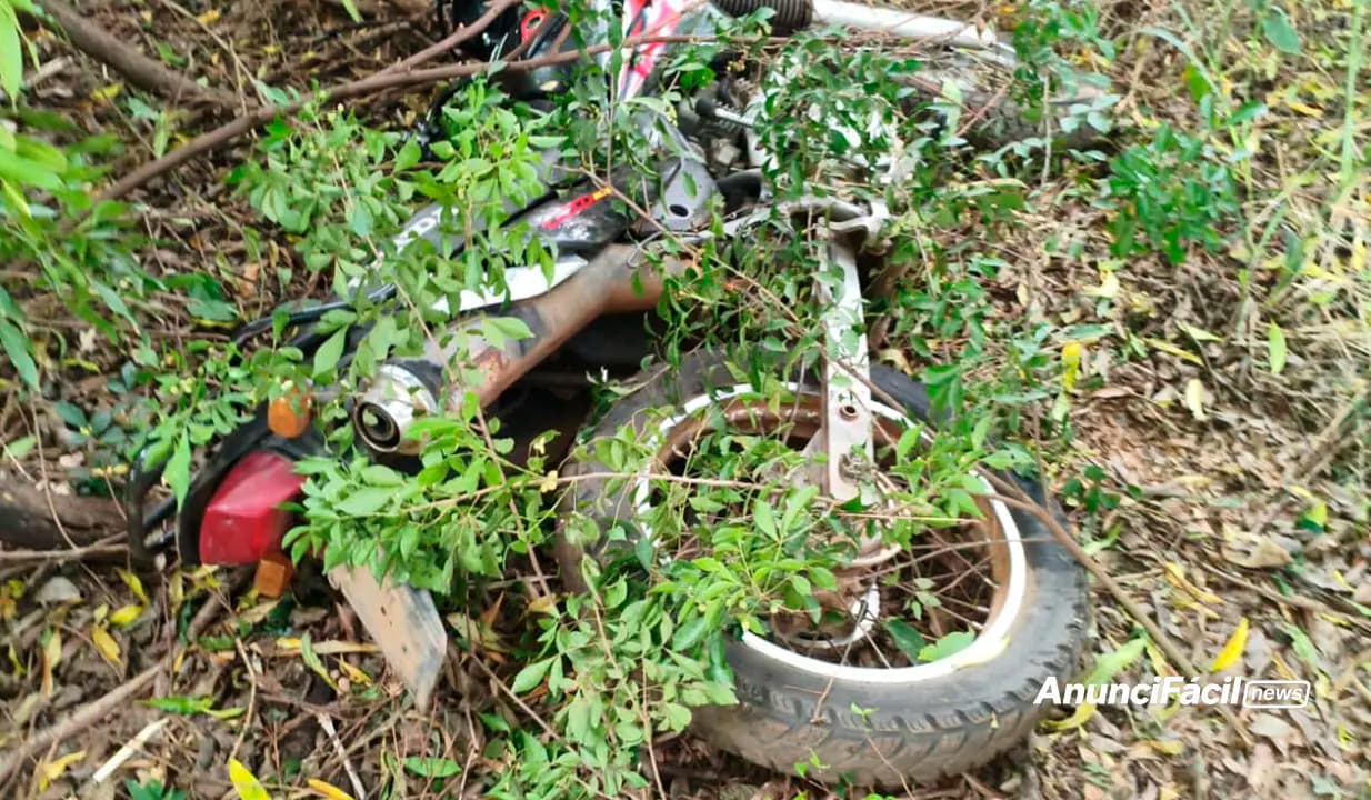 Motocicleta furtada é encontrada escondida em área de mata em Cornélio Procópio