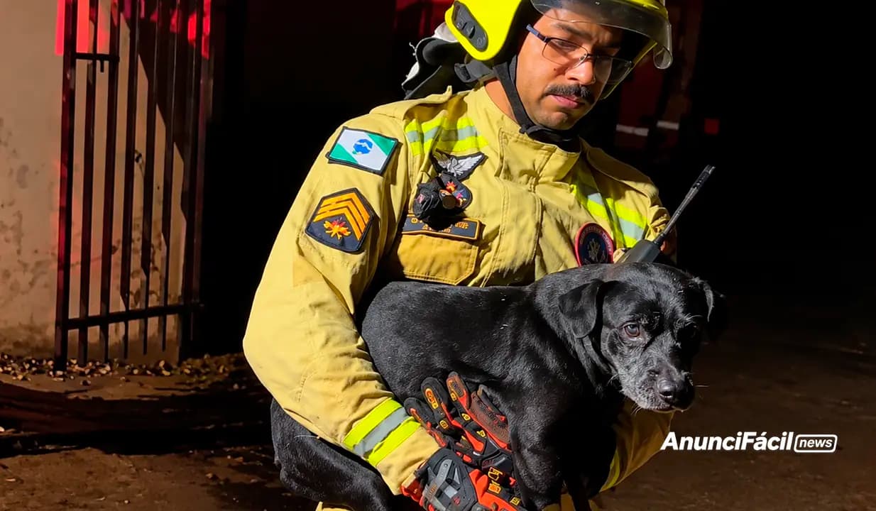 Bombeiros resgatam dois cachorros durante incêndio em residência em Cornélio Procópio