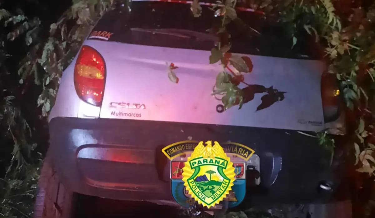 Veículo Choca-se Contra Árvore na PR 218 em São Sebastião da Amoreira