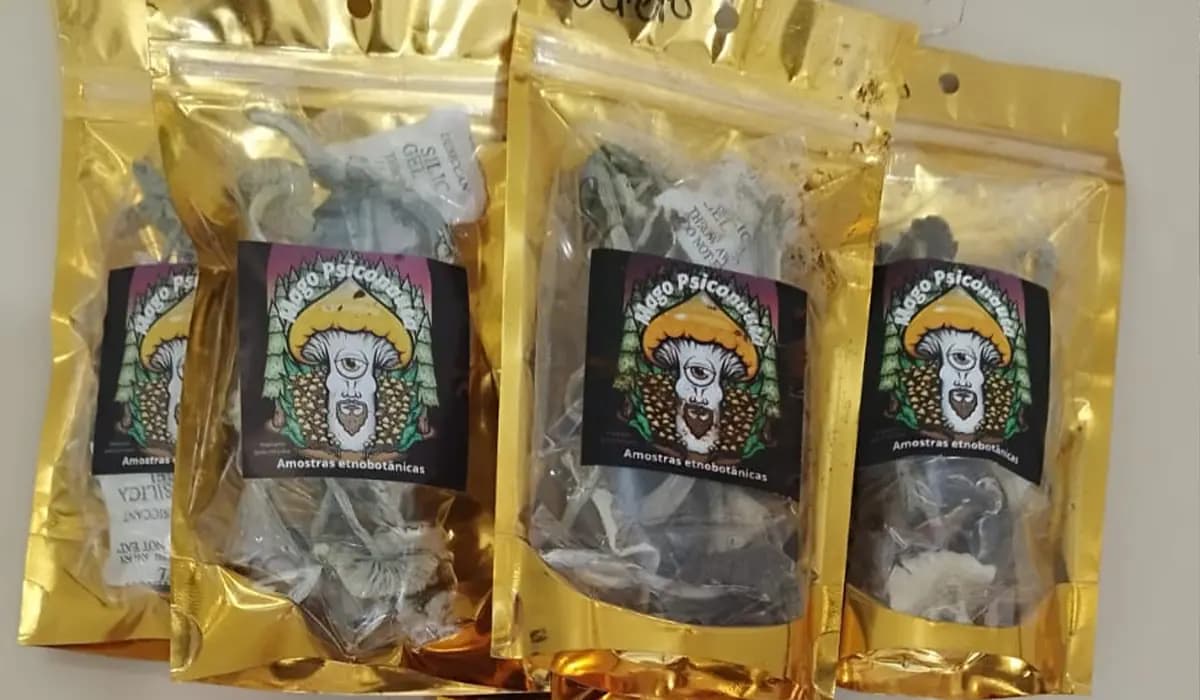 Acidente na BR-369 revela transporte de drogas alucinógenas