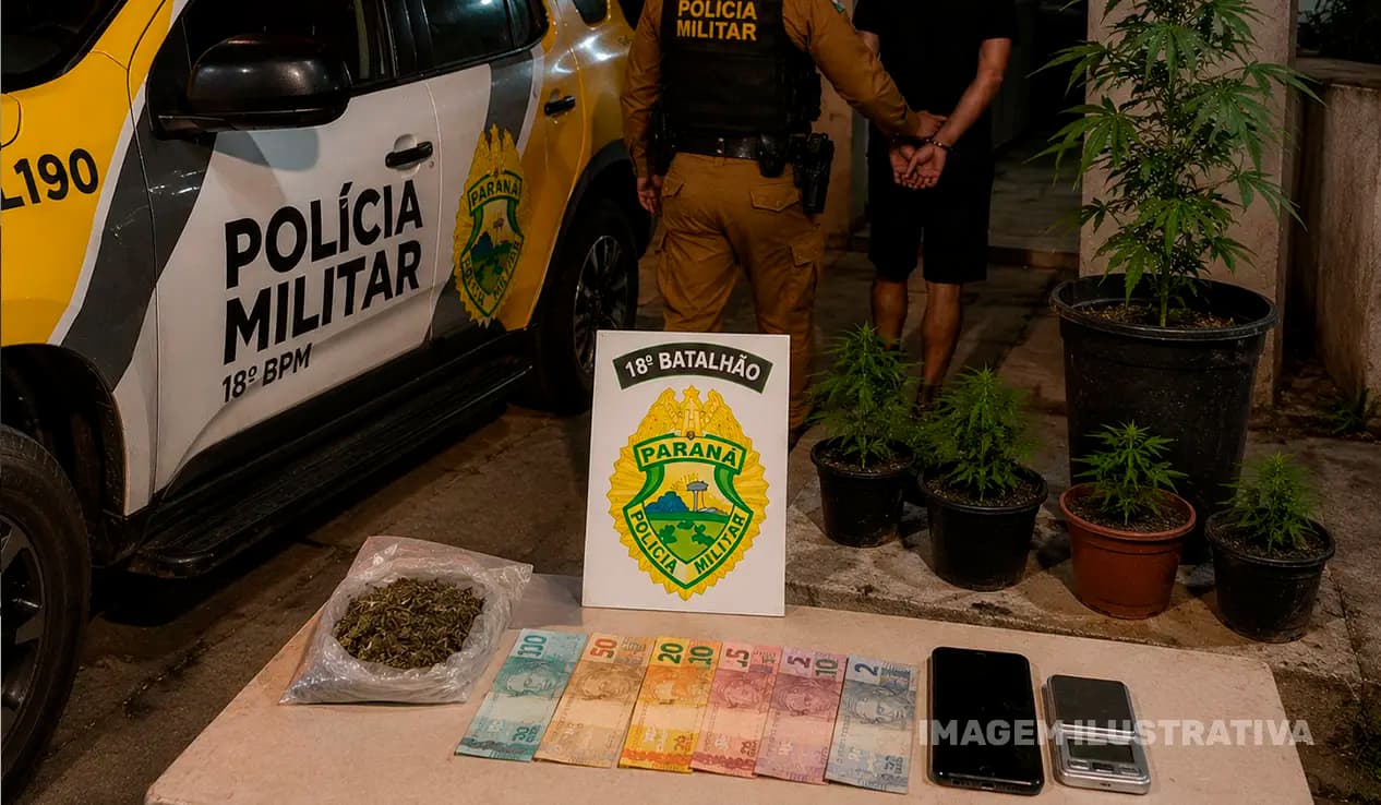 Homem é preso por cultivo de maconha e posse de droga em Andirá