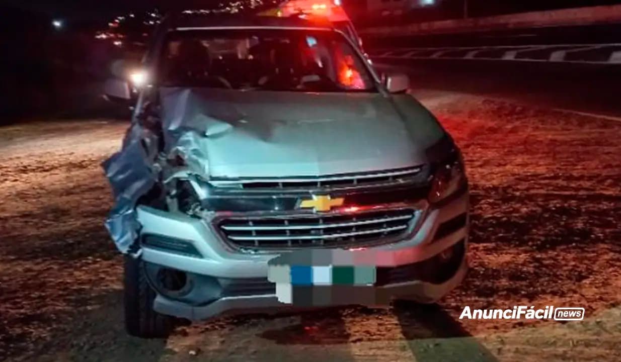 Motorista fica ferido após atropelar animal na PR-445, em Londrina