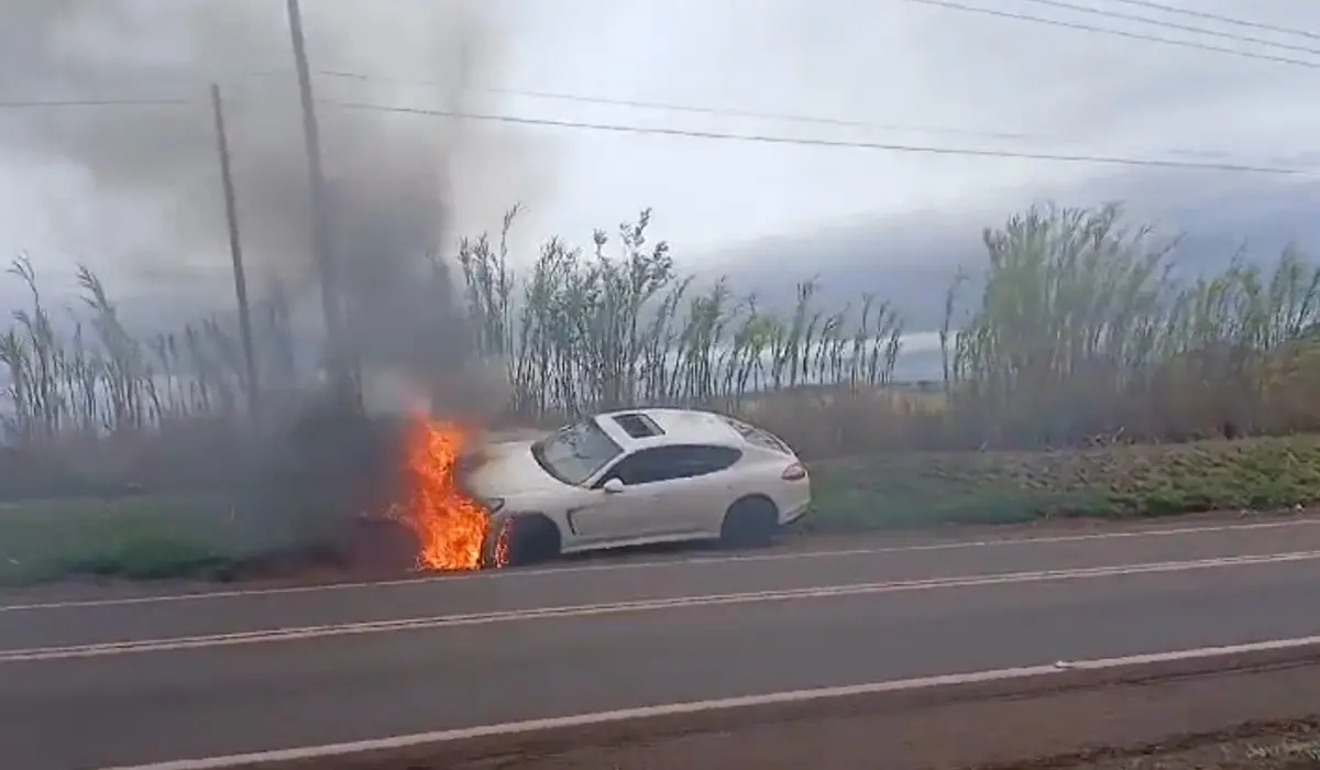 Porshe pega fogo na PR-160 se Estende para Vegetação Próxima