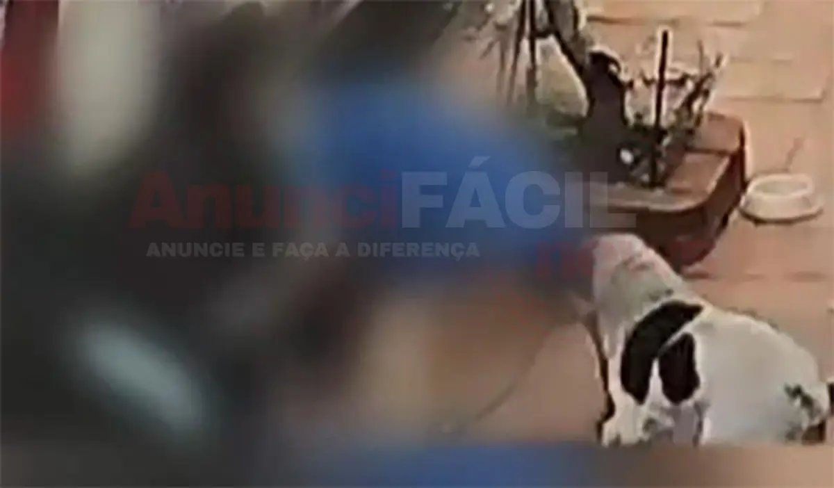 ATAQUE DE CÃO É REGISTRADO EM NOVA SANTA BÁRBARA