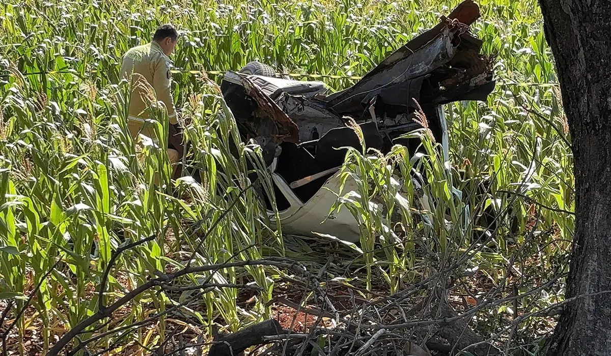 Pai e filho morrem em grave acidente na PR-160, em Leópolis