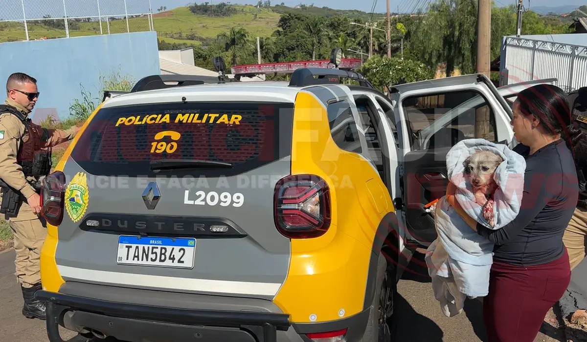 Cão Pitbull ataca animal de pequeno porte em Cornélio Procópio