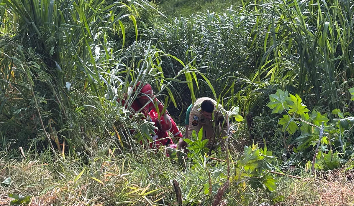 Capotamento e Queda em Ribanceira na BR-369 Deixa 5 Feridos; Socorristas Realizam Resgate Complexo