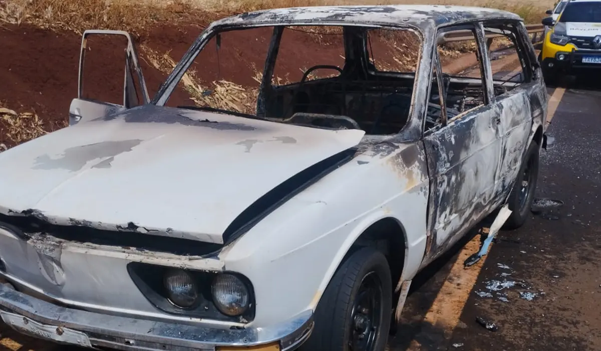 Veículo pega fogo às margens da BR-369 em Uraí